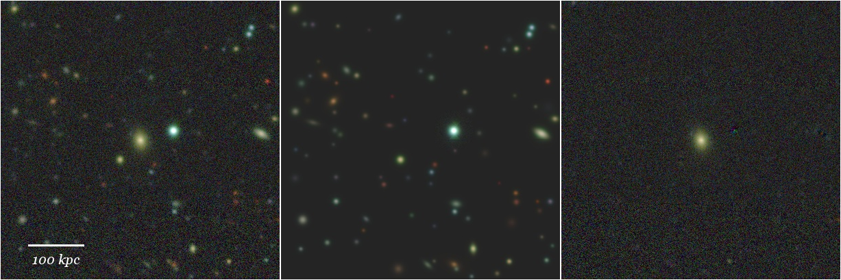 Missing file 41104993096329066-grz-montage.png