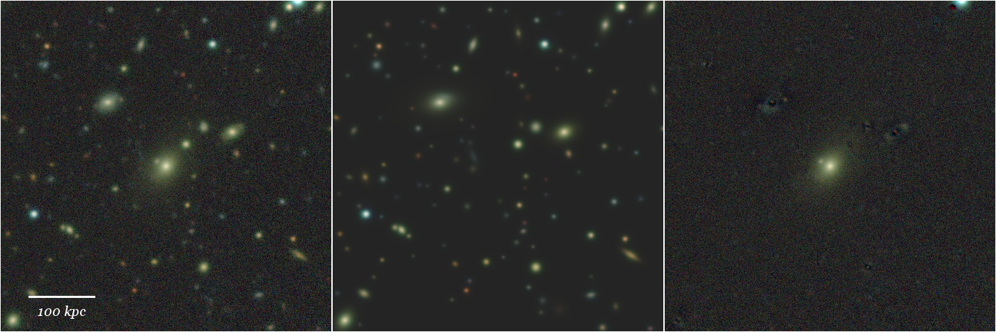 Missing file 43109931074733728-grz-montage.png