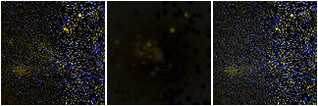 Missing file PGC3085813-custom-montage-FUVNUV.png