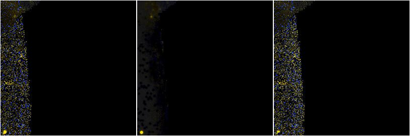 Missing file NGC2273B-custom-montage-FUVNUV.png