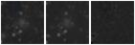 Missing file PGC095598-custom-montage-W1W2.png
