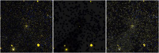 Missing file PGC020882-custom-montage-FUVNUV.png