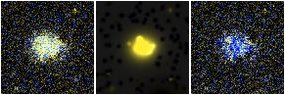 Missing file PGC020914-custom-montage-FUVNUV.png