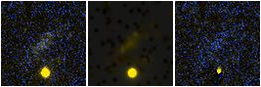 Missing file SDSSJ072714.03+421214.3-custom-montage-FUVNUV.png