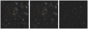 Missing file PGC3085816-custom-montage-W1W2.png