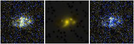 Missing file UGC03878-custom-montage-FUVNUV.png