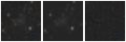 Missing file UGC03954-custom-montage-W1W2.png