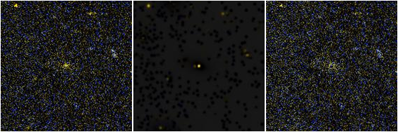 Missing file UGC03981-custom-montage-FUVNUV.png