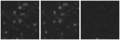 Missing file SDSSJ074437.59+405259.8-custom-montage-W1W2.png