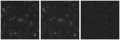 Missing file PGC1690277-custom-montage-W1W2.png