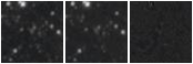 Missing file PGC1375316-custom-montage-W1W2.png