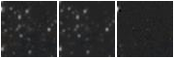 Missing file AGC182490-custom-montage-W1W2.png