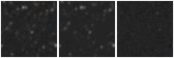 Missing file AGC188862-custom-montage-W1W2.png