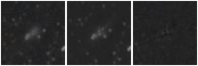Missing file PGC022900-custom-montage-W1W2.png