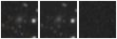 Missing file PGC2376829-custom-montage-W1W2.png