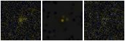 Missing file PGC1719550-custom-montage-FUVNUV.png