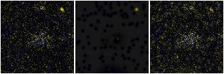 Missing file PGC2807126-custom-montage-FUVNUV.png