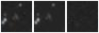 Missing file PGC213481-custom-montage-W1W2.png