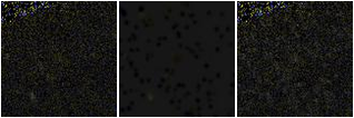 Missing file SDSSJ082340.95+224311.1-custom-montage-FUVNUV.png
