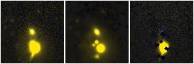 Missing file NGC2594-custom-montage-FUVNUV.png