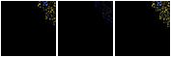 Missing file PGC086398-custom-montage-FUVNUV.png