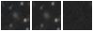 Missing file PGC086398-custom-montage-W1W2.png