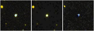 Missing file PGC2790884-custom-montage-FUVNUV.png