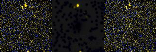 Missing file PGC2807127-custom-montage-FUVNUV.png