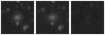 Missing file PGC023809-custom-montage-W1W2.png
