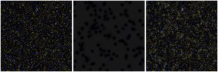Missing file PGC2570904-custom-montage-FUVNUV.png