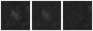 Missing file PGC2806867-custom-montage-W1W2.png