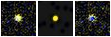 Missing file SDSSJ083312.72+393049.8-custom-montage-FUVNUV.png