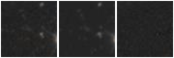 Missing file AGC188884-custom-montage-W1W2.png