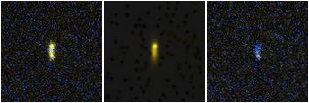 Missing file PGC101469-custom-montage-FUVNUV.png