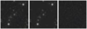 Missing file PGC3087634-custom-montage-W1W2.png