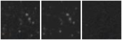 Missing file SDSSJ084237.93+373542.0-custom-montage-W1W2.png