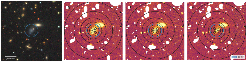 Missing file thumb-AGC181495-custom-ellipse-5201-multiband.png