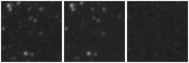 Missing file AGC189165-custom-montage-W1W2.png