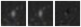 Missing file PGC024579-custom-montage-W1W2.png