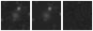 Missing file PGC1218919-custom-montage-W1W2.png