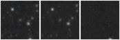 Missing file PGC1373744-custom-montage-W1W2.png