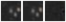 Missing file PGC2600691-custom-montage-W1W2.png