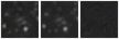 Missing file SDSSJ084428.56+312123.5-custom-montage-W1W2.png
