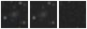 Missing file SDSSJ084652.53+540641.4-custom-montage-W1W2.png
