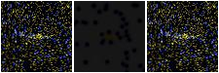 Missing file SDSSJ084723.03+591323.2-custom-montage-FUVNUV.png