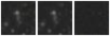 Missing file PGC1189545-custom-montage-W1W2.png