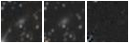 Missing file PGC1925809-custom-montage-W1W2.png