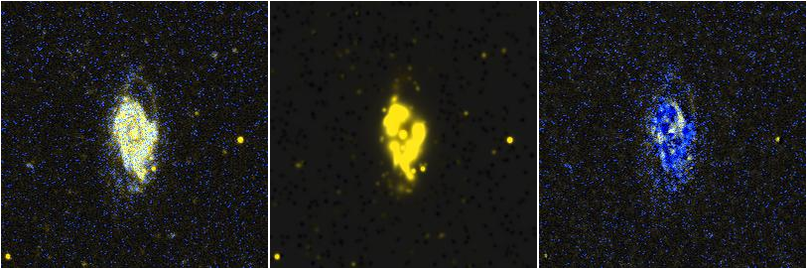 Missing file NGC2712-custom-montage-FUVNUV.png