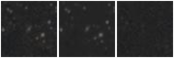 Missing file PGC1660087-custom-montage-W1W2.png