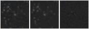 Missing file PGC1746243-custom-montage-W1W2.png